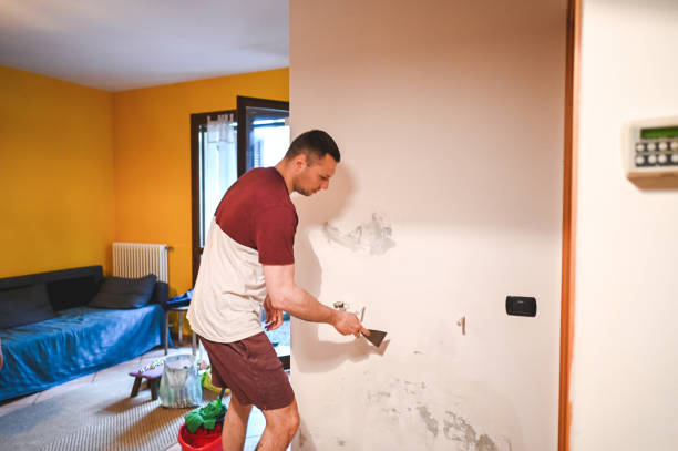 Mold Testing and Removal in New Glarus, WI
